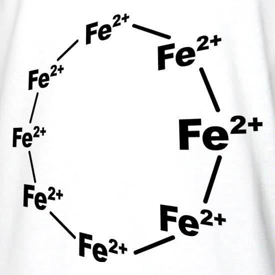 Ferrous Wheel t shirt