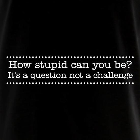 How stupid can you be - it's a question not a challenge t shirt