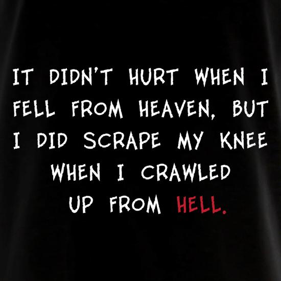 It Didn't Hurt When I Fell From Heaven t shirt