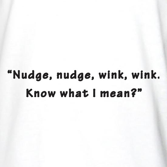 Nudge Nudge Wink Wink Know What I Mean? t shirt
