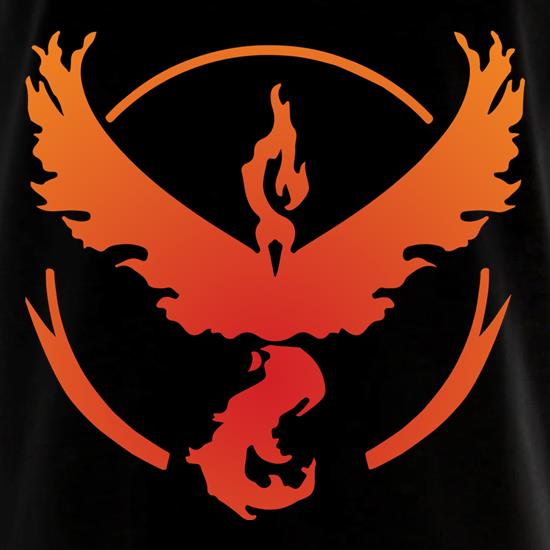 Team Valor t shirt