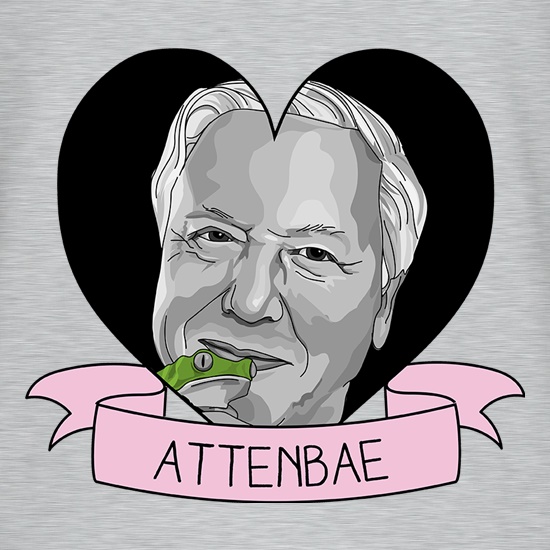 Attenbae t shirt