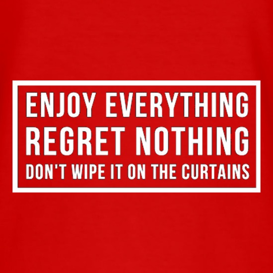 Enjoy Everything Regret Nothing Don't Wipe It On The Curtains t shirt