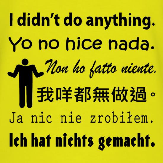 I didn't do anything t shirt