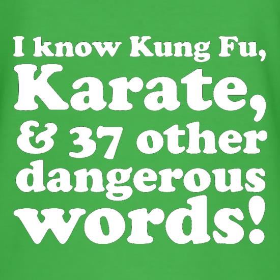 I know Kung Fu, Karate, & 37 other dangerous words! t shirt