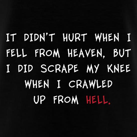 It Didn't Hurt When I Fell From Heaven t shirt