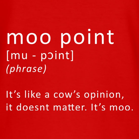 Moo Point t shirt