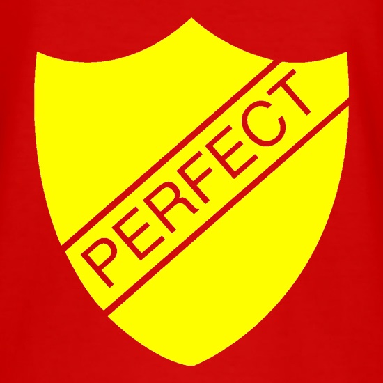 Perfect t shirt
