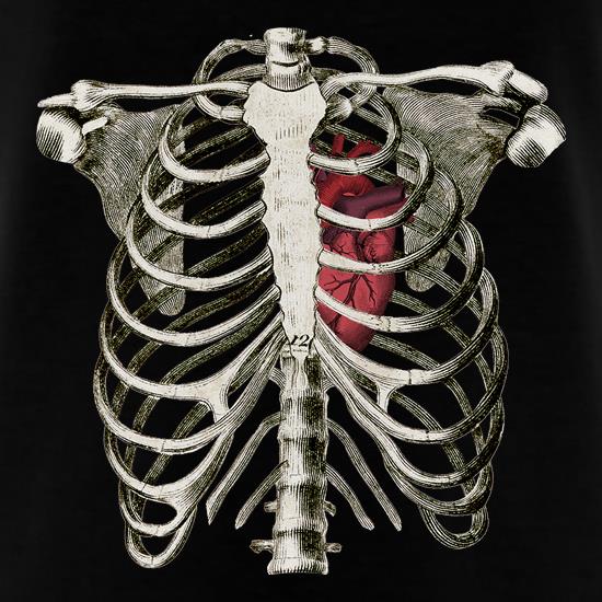 Rib Cage Heart t shirt