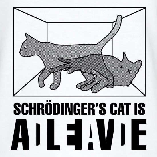 Schrodinger's Cat Box t shirt