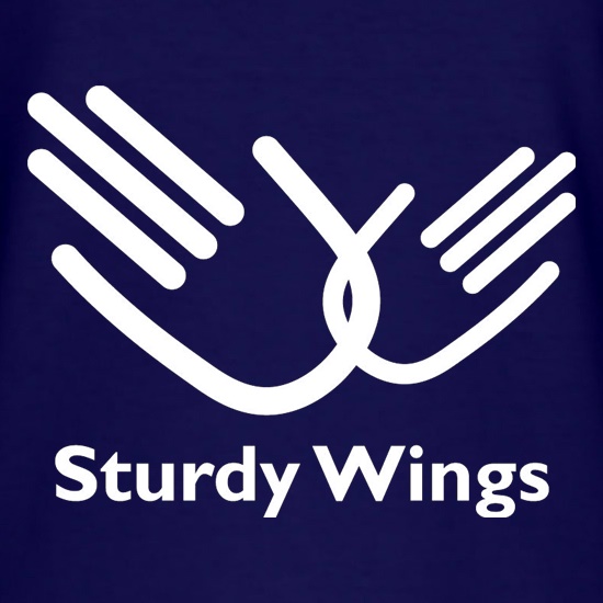 Sturdy Wings t shirt