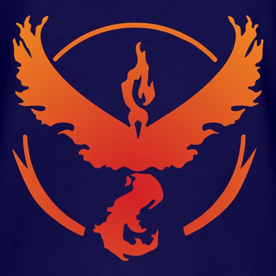 Team Valor t shirt