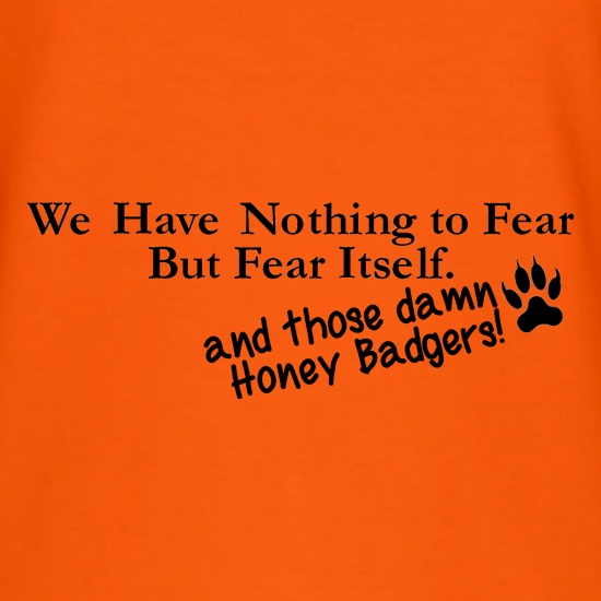 We have nothing to fear but fear itself, and those damn honey badgers! t shirt