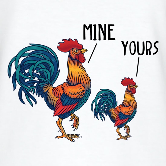 Your Cock, My Cock t shirt